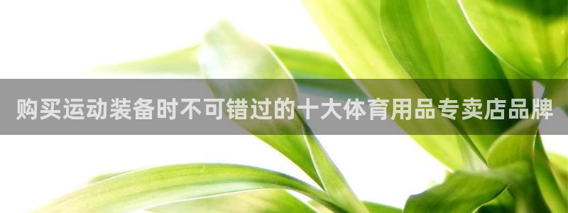 欧陆娱乐注册链接安全吗知乎：购买运动装备时不可错过的