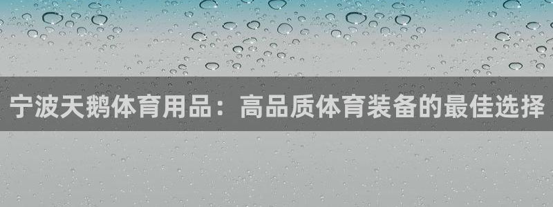 欧陆娱乐天富主管：宁波天鹅体育用品：高品质体育装备的