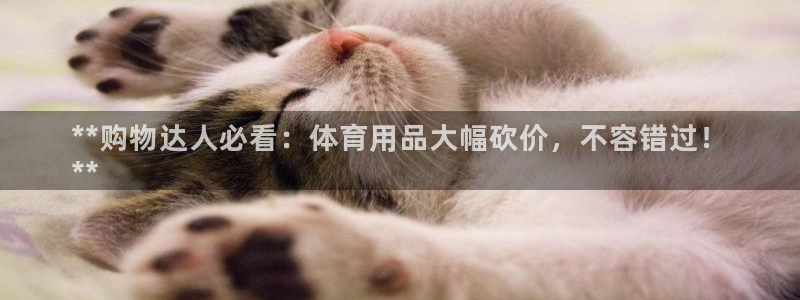 欧陆娱乐app攻略下载：**购物达人必看：体育用品大