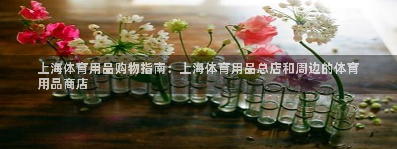 欧陆娱乐怎么注册帐号登录：上海体育用品购物指南：上海