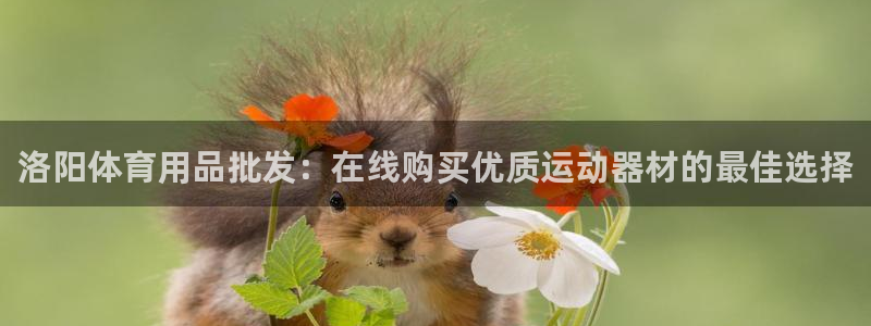 欧陆娱乐官网入口下载：洛阳体育用品批发：在线购买优质
