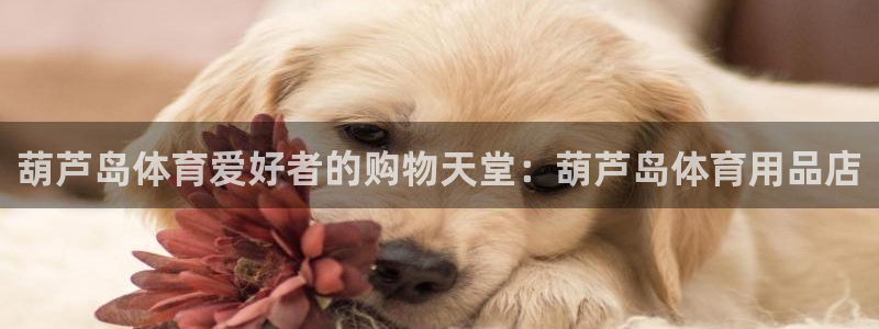 欧陆娱乐客服：葫芦岛体育爱好者的购物天堂：葫芦岛体育