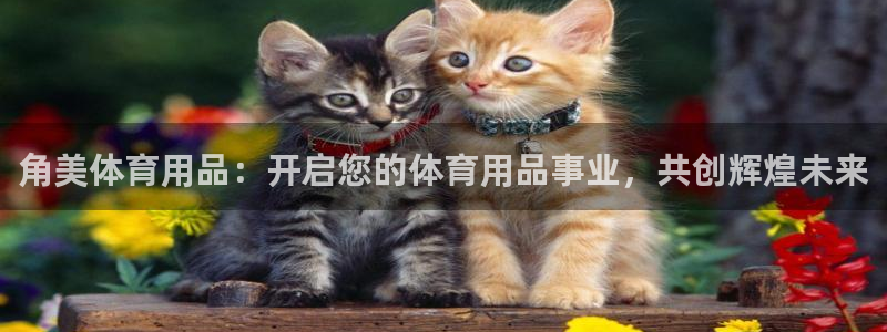 欧陆娱乐官方：角美体育用品：开启您的体育用品事业，共