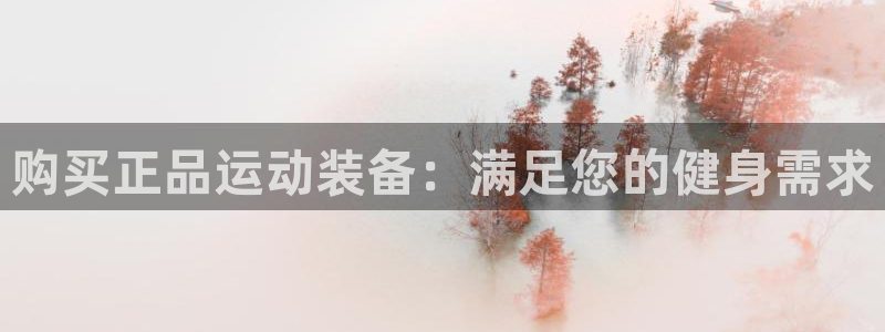 欧陆娱乐官网下载安装最新版：购买正品运动装备：满足您