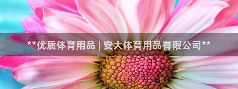 欧陆娱乐官网入口：**优质体育用品 | 安大体育用品