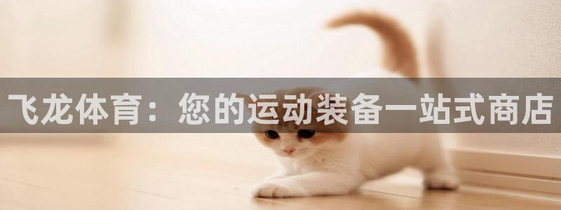 欧陆娱乐注册代理多少钱：飞龙体育：您的运动装备一站式