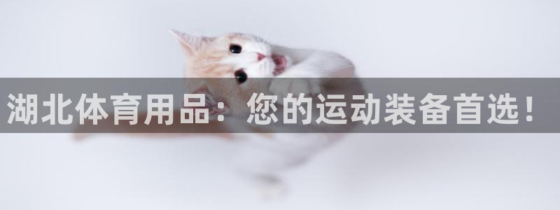 重庆欧陆娱乐有限公司：湖北体育用品：您的运动装备首选