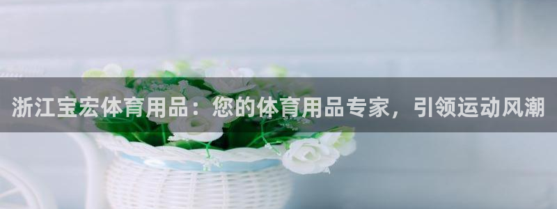 欧陆娱乐访问：浙江宝宏体育用品：您的体育用品专家，引