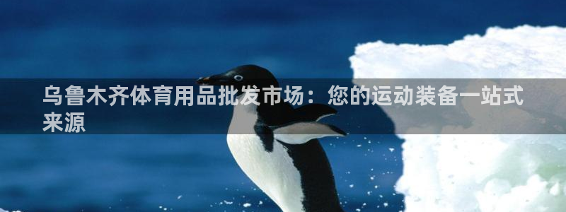 欧陆娱乐百科百度：乌鲁木齐体育用品批发市场：您的运动