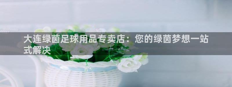 欧陆娱乐平台咋样啊：大连绿茵足球用品专卖店：您的绿茵