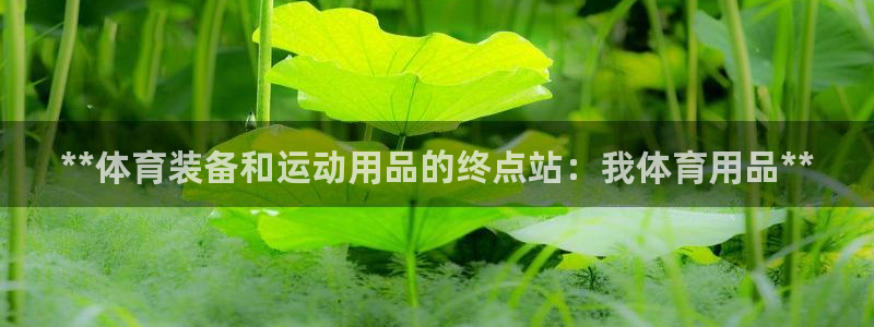 欧陆娱乐是什么：**体育装备和运动用品的终点站：我体
