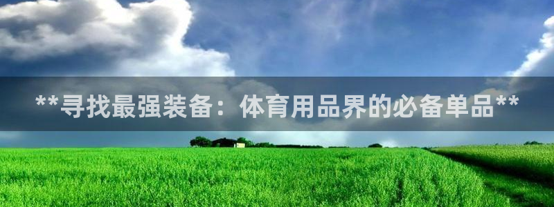 欧陆娱乐app攻略下载：**寻找最强装备：体育用品界