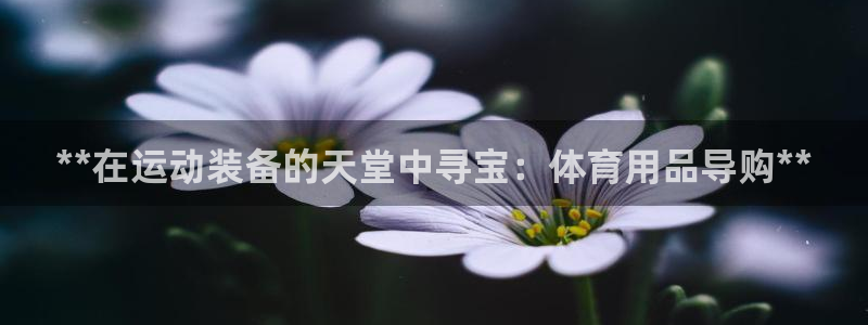 欧陆商城：**在运动装备的天堂中寻宝：体育用品导购*