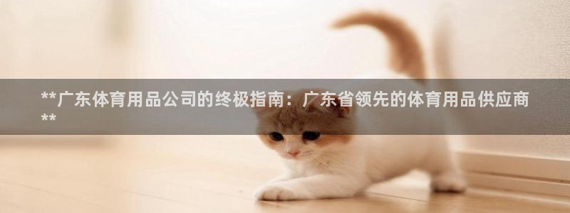欧陆娱乐平台登录不上去：**广东体育用品公司的终极指