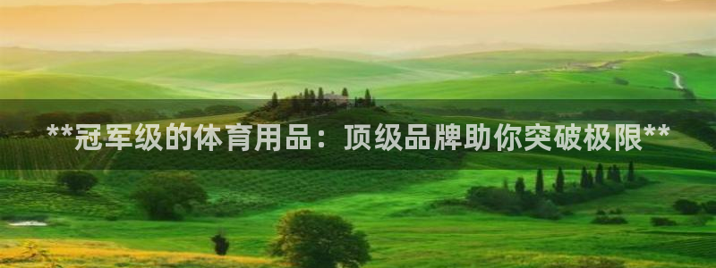欧陆游戏平台：**冠军级的体育用品：顶级品牌助你突破