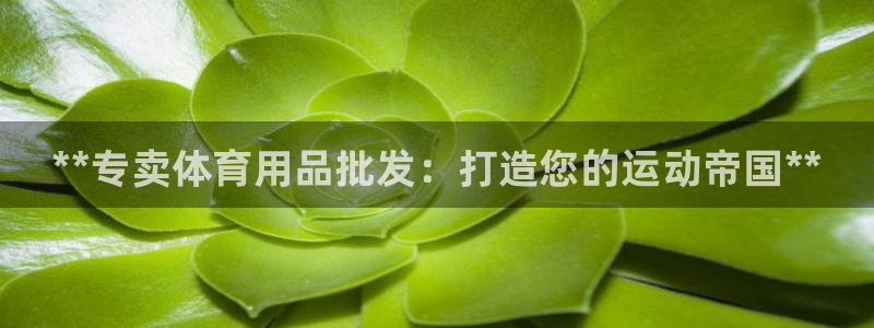 欧陆娱乐共创美好时刻：**专卖体育用品批发：打造您的