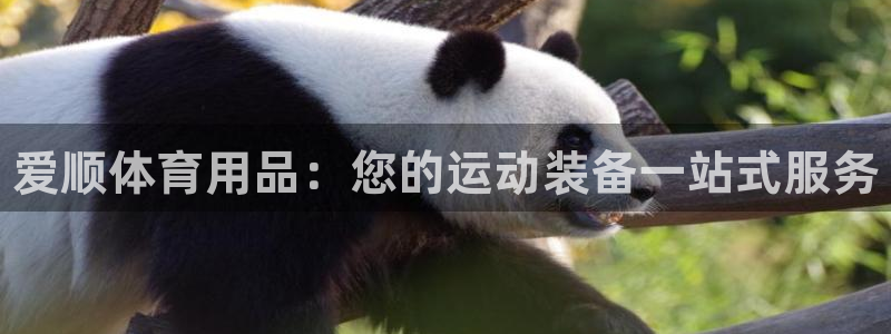 欧陆娱乐代理 贴吧是真的吗：爱顺体育用品：您的运动装备一站式
