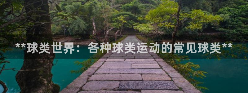 欧陆娱乐能提现嘛安全吗：**球类世界：各种球类运动的常见球类