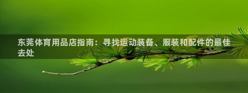 欧陆娱乐登录平台有哪些：东莞体育用品店指南：寻找运动装备、服