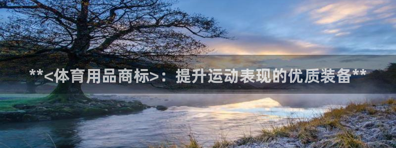 欧陆娱乐测试官网：**<体育用品商标>：提升运动表现的优质装