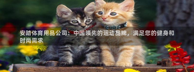 欧陆娱乐登录测速怎么关闭