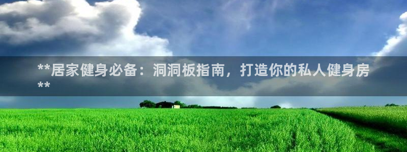 欧陆娱乐平台登陆地址在哪：**居家健身必备：洞洞板指南，打造