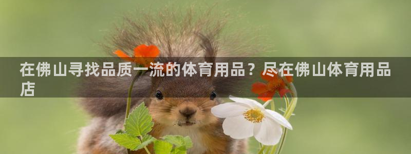 欧陆娱乐计划app官方正版安装下载苹果：在佛山寻找品质一流的