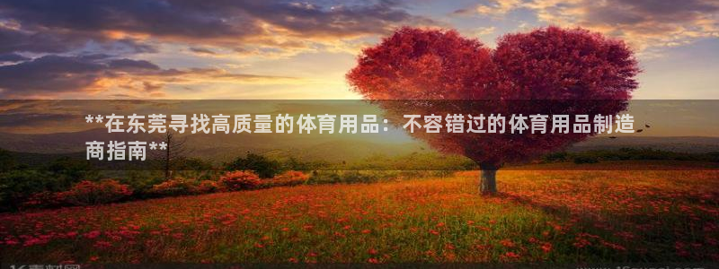 欧陆娱乐：**在东莞寻找高质量的体育用品：不容错过的体育用品