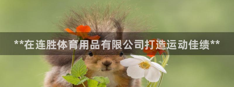 欧陆娱乐出款：**在连胜体育用品有限公司打造运动佳绩
