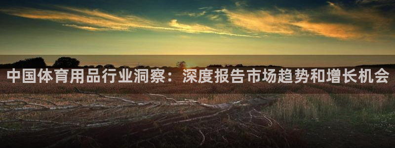 欧陆娱乐脚本怎么下载：中国体育用品行业洞察：深度报告