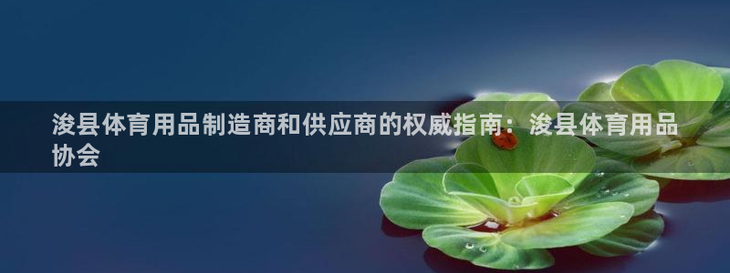 欧陆娱乐注册链接：浚县体育用品制造商和供应商的权威指