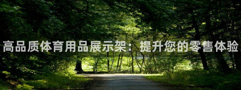 欧陆娱乐总代理:高品质体育用品展示架:提升您的零售体验