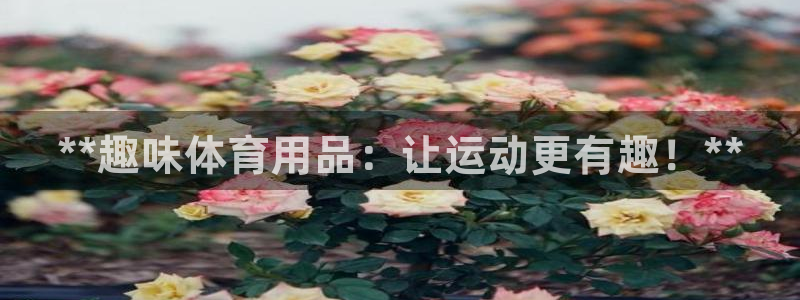 欧陆娱乐计划预测软件哪个好:**趣味体育用品:让运动更有趣!