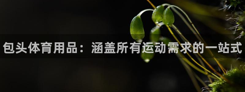 欧陆娱乐挂机项目:包头体育用品:涵盖所有运动需求的一站式