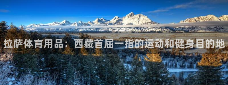 欧陆娱乐平台登陆地址在哪：拉萨体育用品：西藏首屈一指的运动和